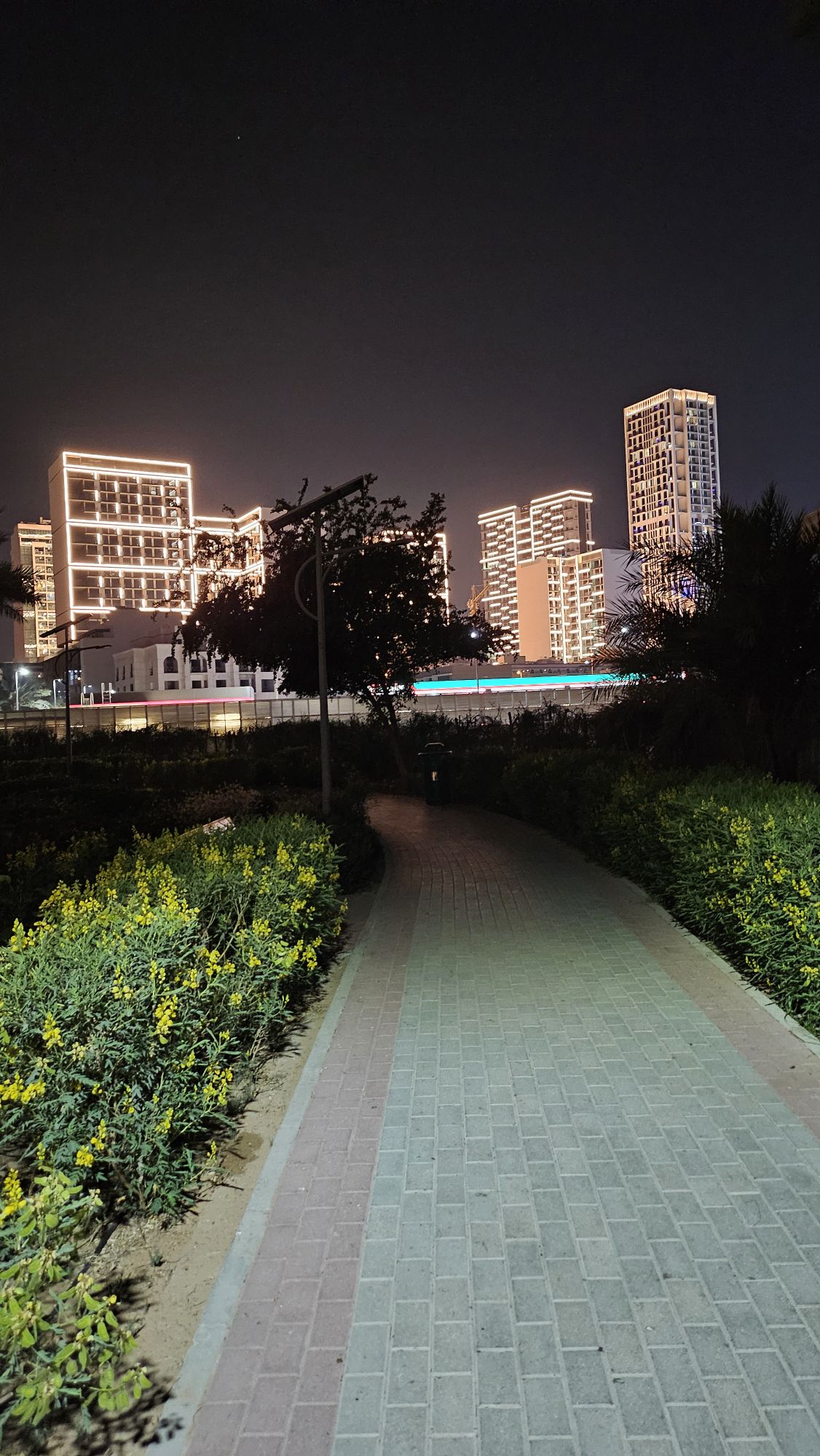 20250318_2114102383198379383969829